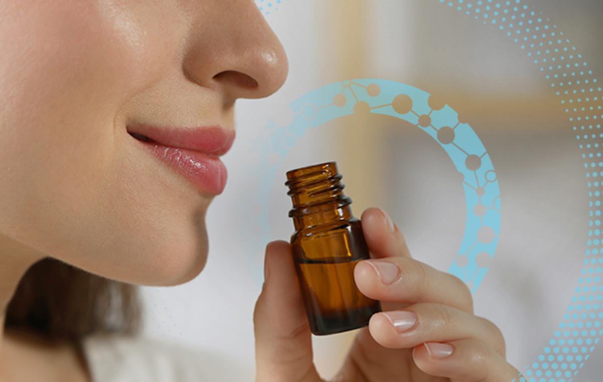 Terpenes, chemistry research